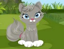 Find Cat Girlfriend