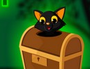 Black Cat from Box