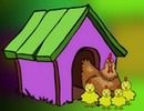 Hen Family Rescue
