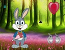 Bunny Propose Love