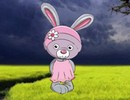 Bunny Girl