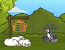 Rescue Atlantic Puffin