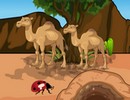 Save the Camel Calf