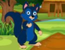 Aid Squirrel Suffering