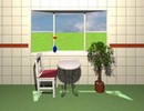 Carnations Room