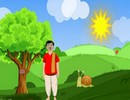 Lost Hen