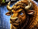 Wild Buffalo Rescue