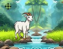 Goat Reach Farm