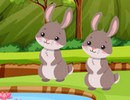 Rabbit Rescue
