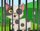 Spotted Cat Escape