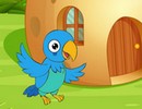 Macaw Reached Hut