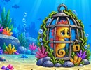 Sea Horse Rescue